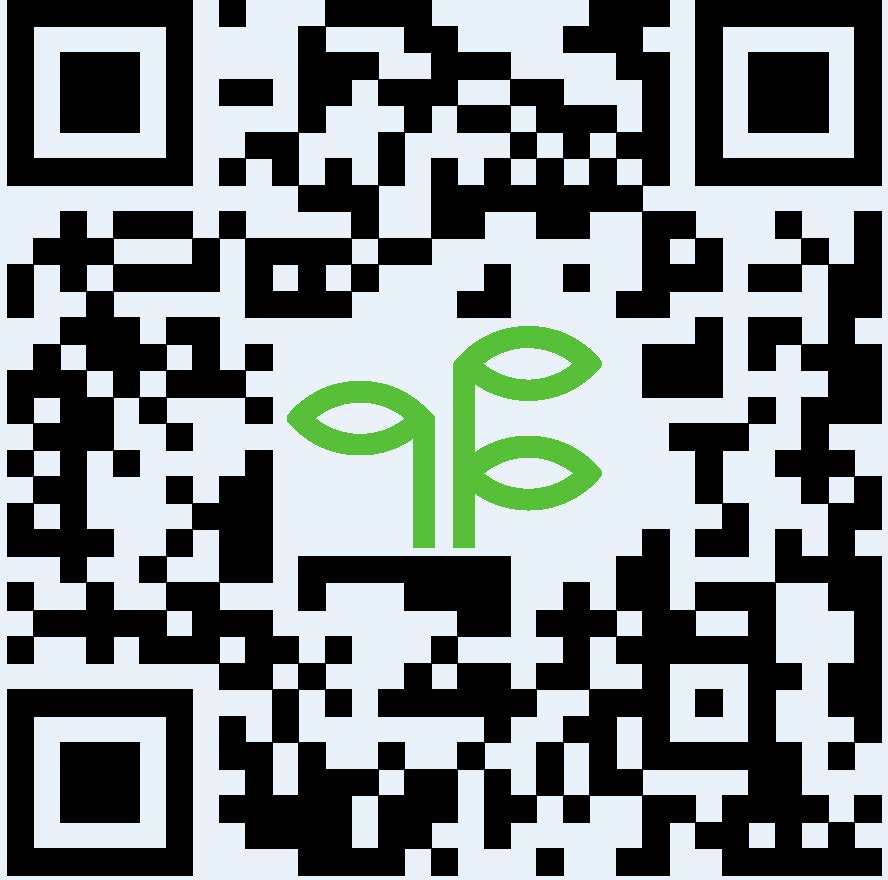 QR Сайт